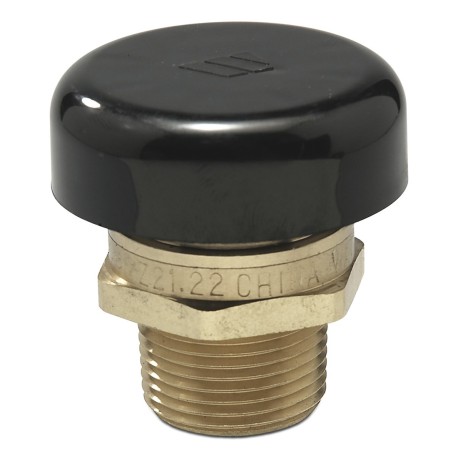Watts LFN36M1, 3/4" Vacuum Relief Valve, Lead-Free