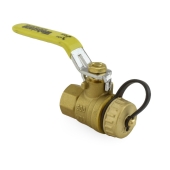 Webstone Valves 1/2" FIP x 3/4" Garden Hose Ball Valve, Full Port (Lead-Free) - Image 1