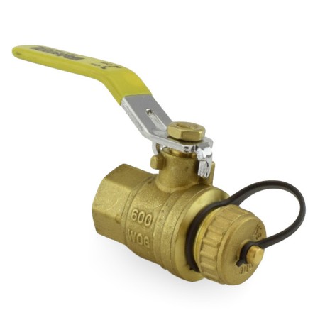 Webstone Valves 3/4" FIP x 3/4" Garden Hose Ball Valve, Full Port (Lead-Free)