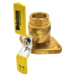 1" IPS Isolator Flange Valve