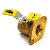 Webstone Valves 1-1/4" IPS Isolator Flange Valve - Image 3