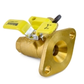 Webstone Valves 3/4" IPS Isolator Flange Valve with Drain - Image 3