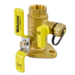 1" IPS Isolator Flange Valve with Drain