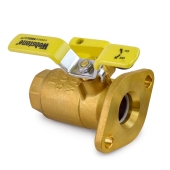 Webstone Valves 1-1/4" IPS Isolator Flange Valve with Drain - Image 3