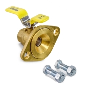 Webstone Valves 3/4" IPS Isolator Valve w/ Rotating Flange - Image 2