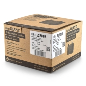 Little Giant P-AAA Manual Oil-Filled Small Submersible Pump w/ 6' cord, 1/160 HP, 115V - Image 4