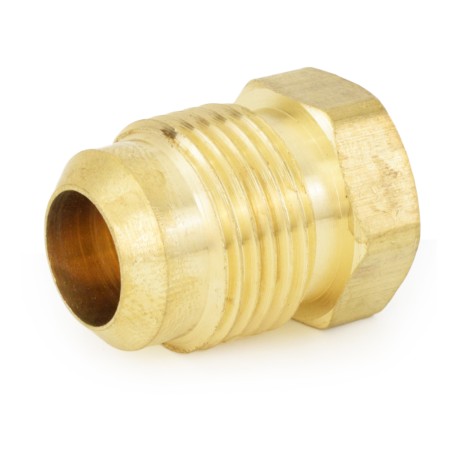Everhot 5/8" Flare Brass Plug