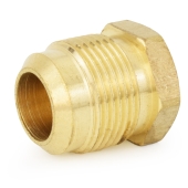 Everhot 3/4" Flare Brass Plug - Image 1