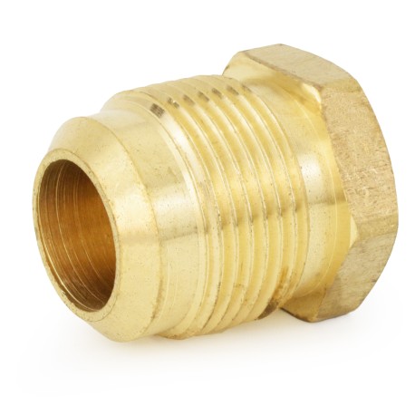 Everhot 3/4" Flare Brass Plug