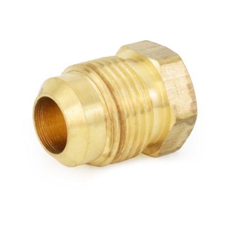 Everhot 1/2" Flare Brass Plug