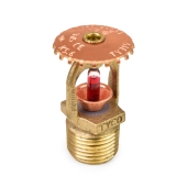 Tyco TY-B Upright Fire Sprinkler Head, Standard Response, K=5.6, Rough Brass, 155°F, 1/2" NPT - Image 1