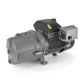 Grundfos JP10S-CI Cast Iron Shallow Well Jet Pump, 1 HP, 115/230V - Image 1