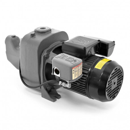 Grundfos JP15S-CI Shallow Well Jet Pump, Cast Iron, 97855091 - PexUniverse