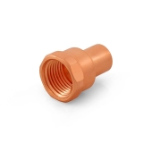 Everhot 1/2" FTG x Female Threaded Street Adapter - Image 2