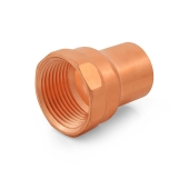 Everhot 1-1/4" FTG x Female Threaded Street Adapter - Image 2