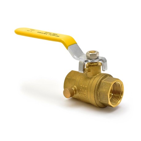 Wright Valves 3/4" NPT Threaded Brass Ball Valve w/ Waste, Full Port