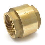 Wright Valves 2" Threaded Spring Check Valve - Image 1
