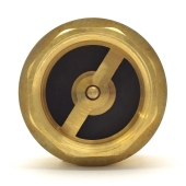 Wright Valves 2" Threaded Spring Check Valve - Image 2