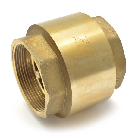Wright Valves 2" Threaded Spring Check Valve