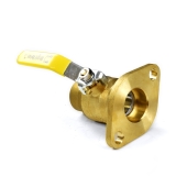 Wright Valves 1-1/4" SWT Isolator Flange Valve w/ Pump Gasket & T-Handle - Image 2