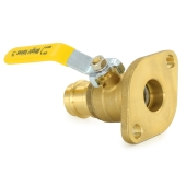 1" Press Isolator Flange Valve w/ Pump Gasket & T-Handle Wright Valves