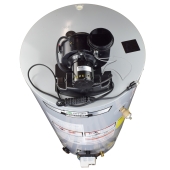 AO Smith 40 Gal, ProLine XE High-Recovery Power Vent Water Heater (NG), 6-Yr Wrty - Image 3