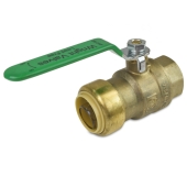 Wright Valves 1" Push To Connect x 1" FPT Brass Ball Valve, Lead-Free - Image 2