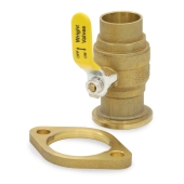 Wright Valves 1-1/4" SWT Isolator Valve w/ Rotating Flange, Pump Gasket & T-Handle - Image 2