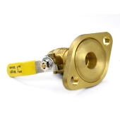 Wright Valves 3/4" Threaded Isolator Valve w/ Rotating Flange w/ Pump Gasket & T-Handle - Image 2